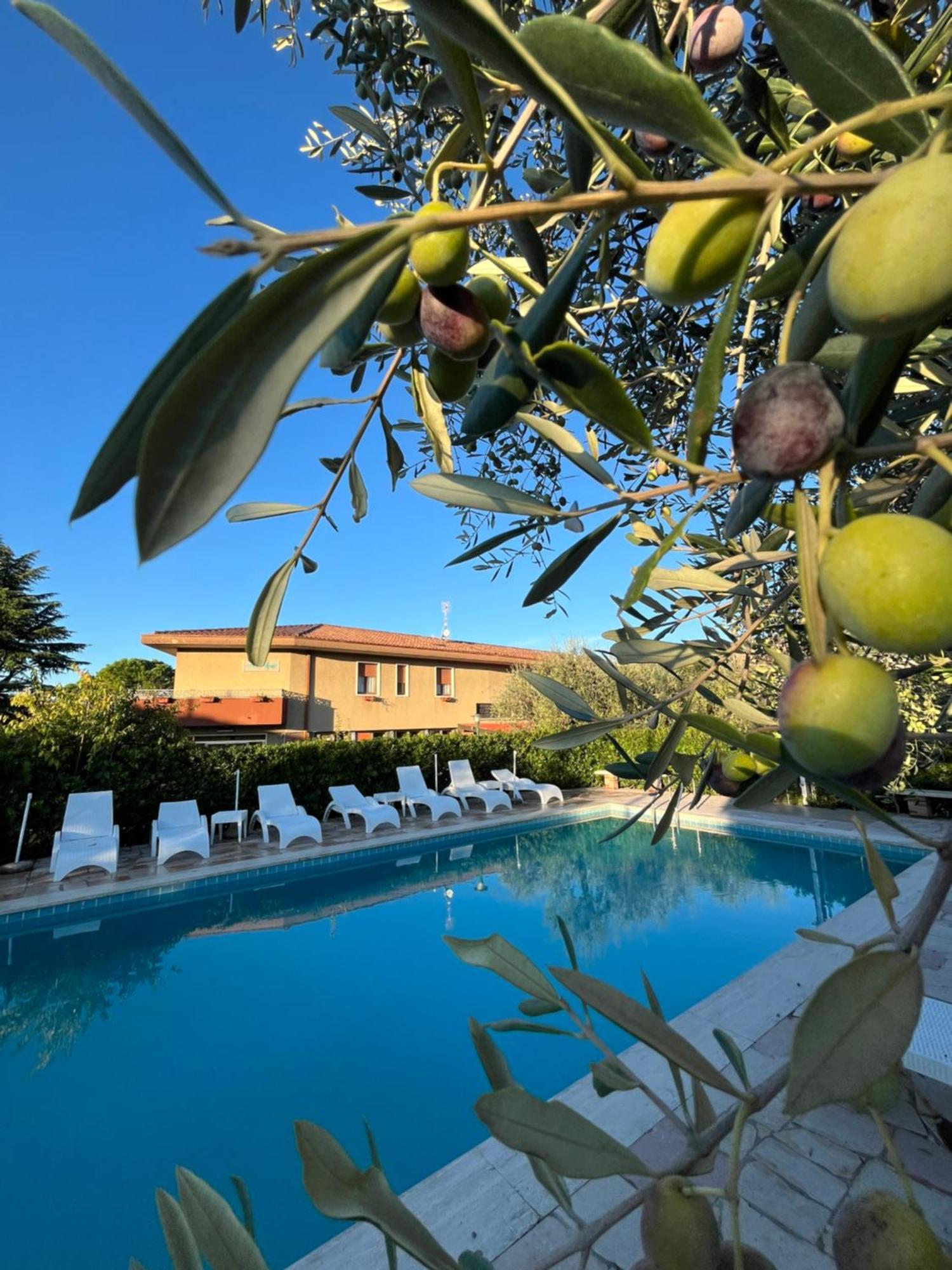 Lory Hotel